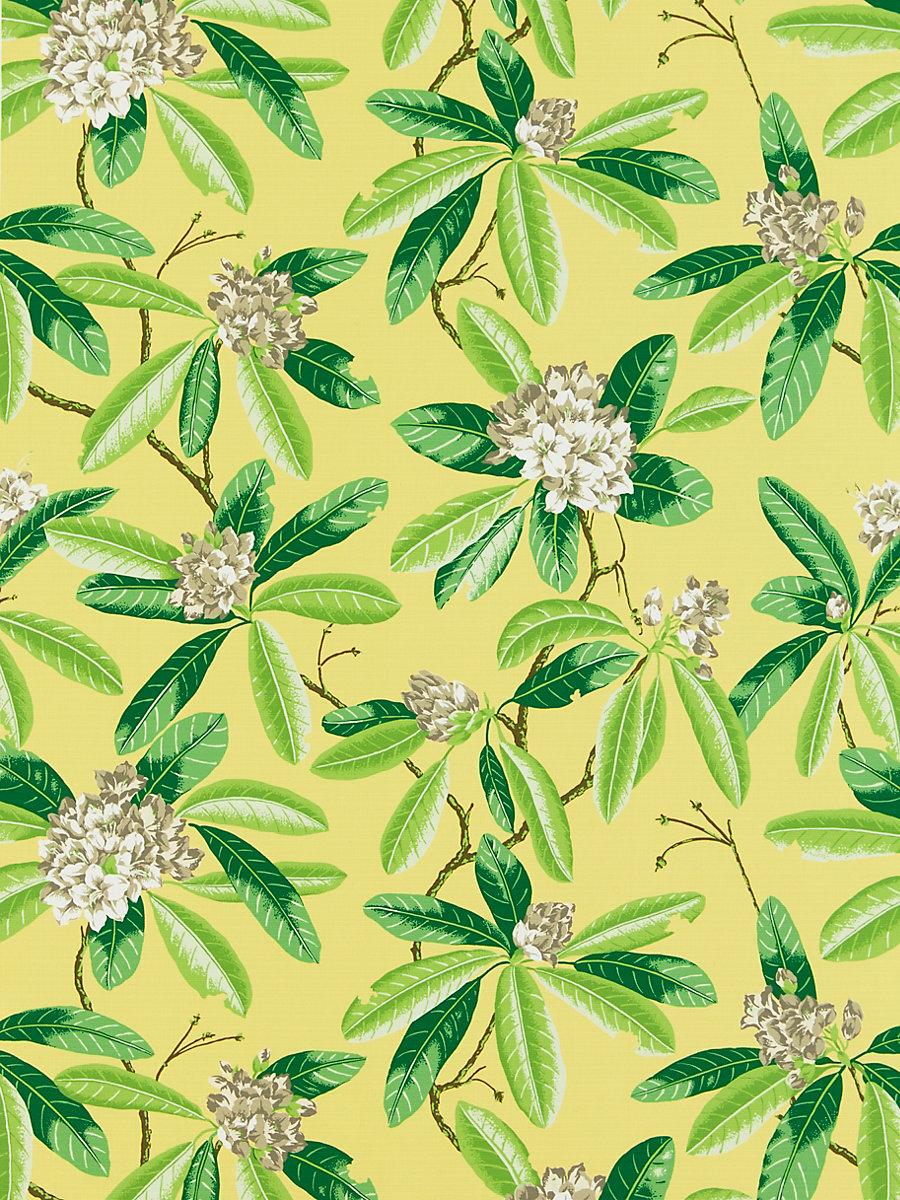 Scalamandre Rhododendron | Outdoor Pineapple Fabric
