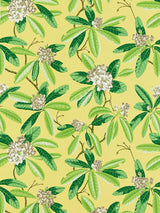 Scalamandre Rhododendron | Outdoor Pineapple Fabric