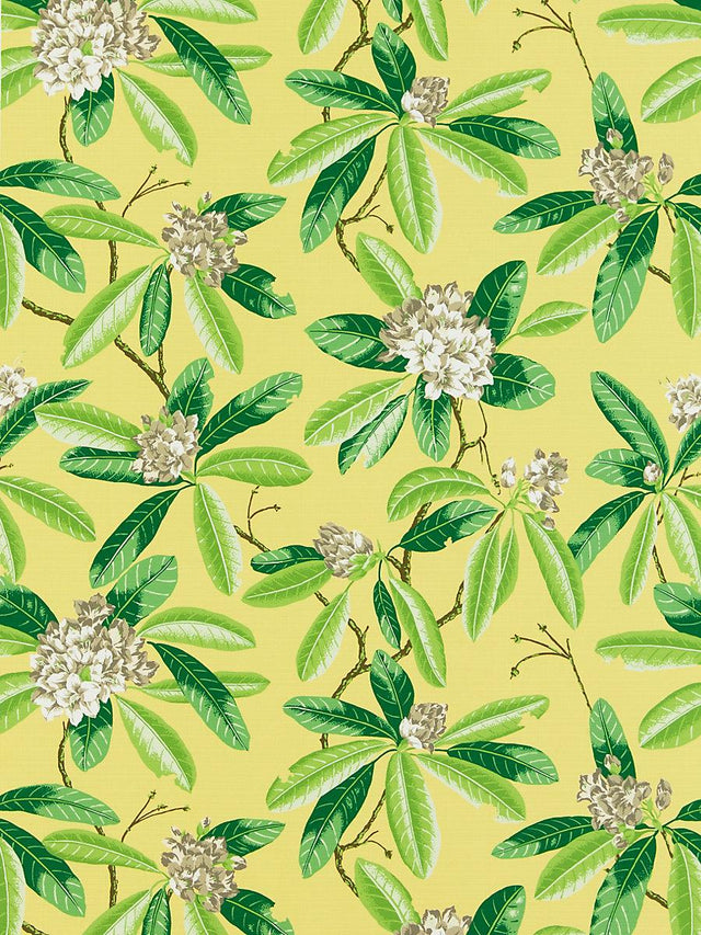 Scalamandre Rhododendron | Outdoor Pineapple Fabric