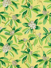 Scalamandre Rhododendron - Outdoor Pineapple Fabric