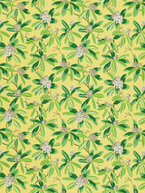 Scalamandre Rhododendron | Outdoor Pineapple Fabric