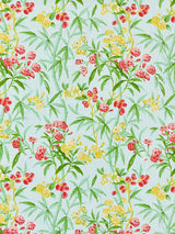 Scalamandre Lanai | Outdoor Passion Fruit Fabric