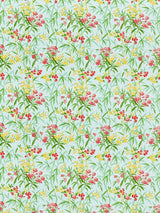 Scalamandre Lanai | Outdoor Passion Fruit Fabric
