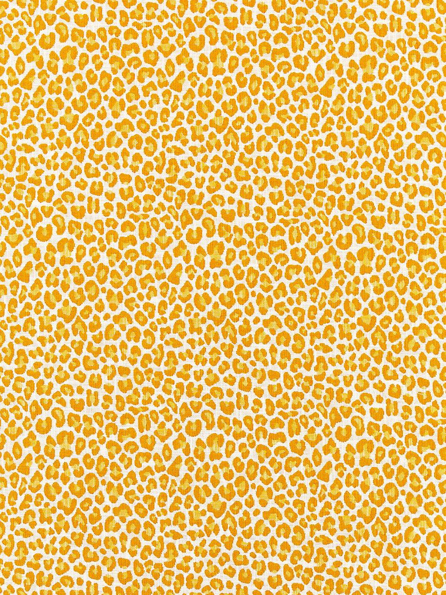Scalamandre Backyard Bengal Tangerine Fabric