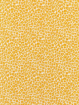 Scalamandre Backyard Bengal Tangerine Fabric
