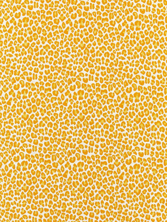 Scalamandre Backyard Bengal Tangerine Fabric