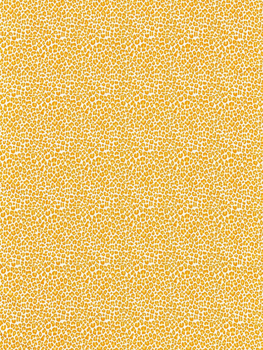 Scalamandre Backyard Bengal Tangerine Fabric