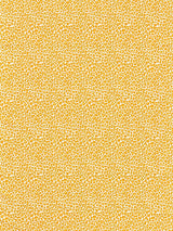 Scalamandre Backyard Bengal Tangerine Fabric