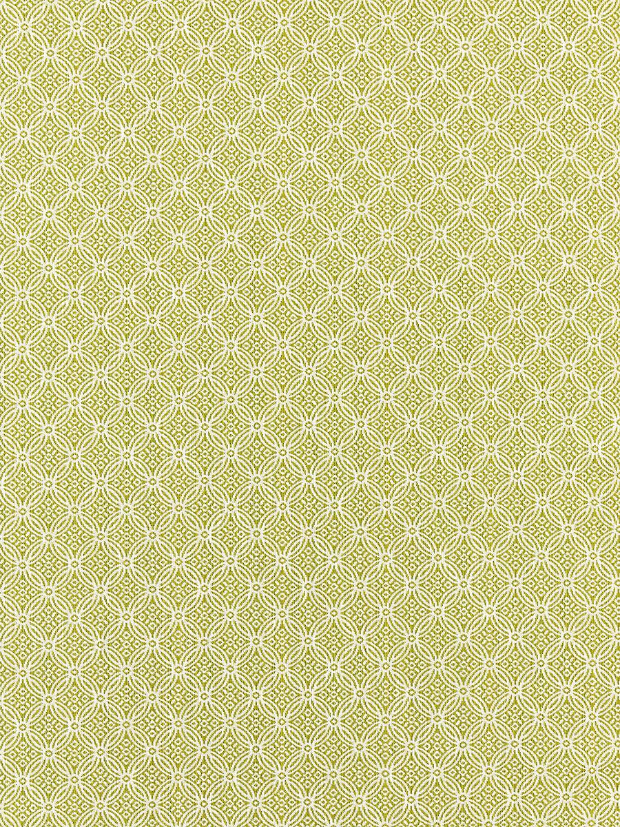 Scalamandre Cape May Key Lime Fabric