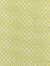 Scalamandre Cape May Key Lime Fabric