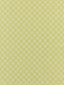 Scalamandre Cape May Key Lime Fabric