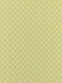 Scalamandre Cape May Key Lime Fabric
