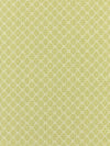 Scalamandre Cape May Key Lime Fabric