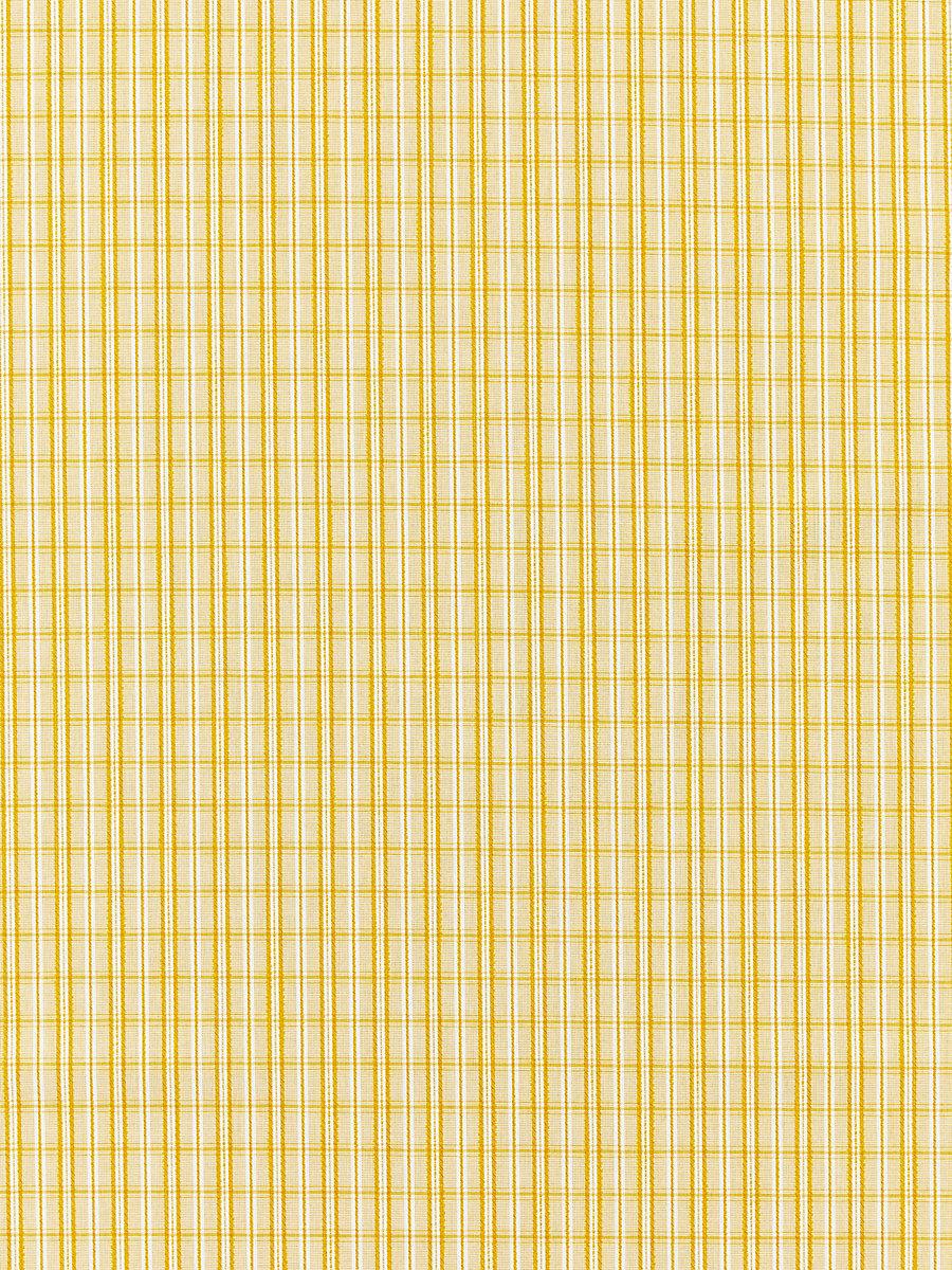 Scalamandre Check Please | Outdoor Goldenrod Fabric
