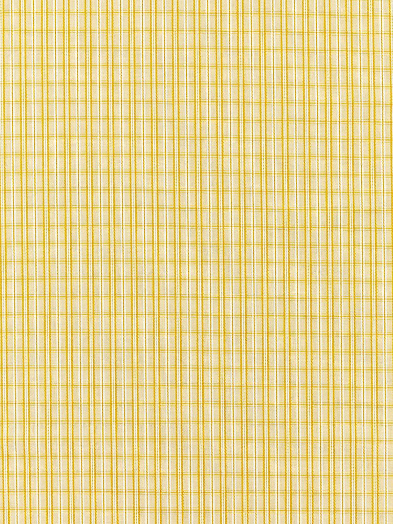 Scalamandre CHECK PLEASE - OUTDOOR GOLDENROD Fabric