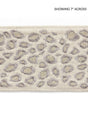 Scalamandre Catwalk Embroidered Tape Looking Glass Trim