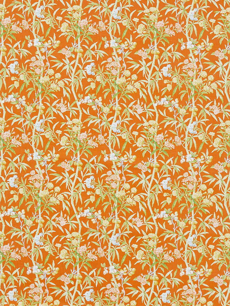 Scalamandre Lanai | Outdoor Guava Fabric