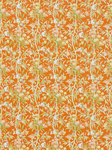 Scalamandre Lanai | Outdoor Guava Fabric
