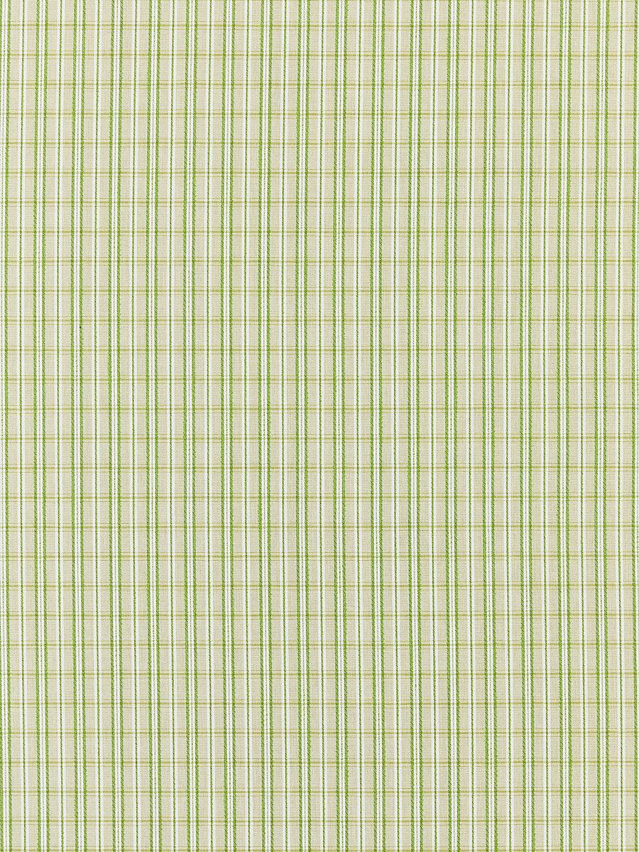 Scalamandre Check Please | Outdoor Fern Fabric
