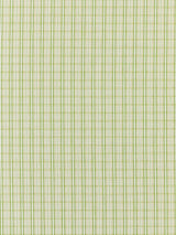 Scalamandre Check Please | Outdoor Fern Fabric