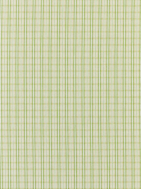 Scalamandre Check Please | Outdoor Fern Fabric