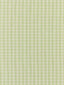 Scalamandre Check Please | Outdoor Fern Fabric