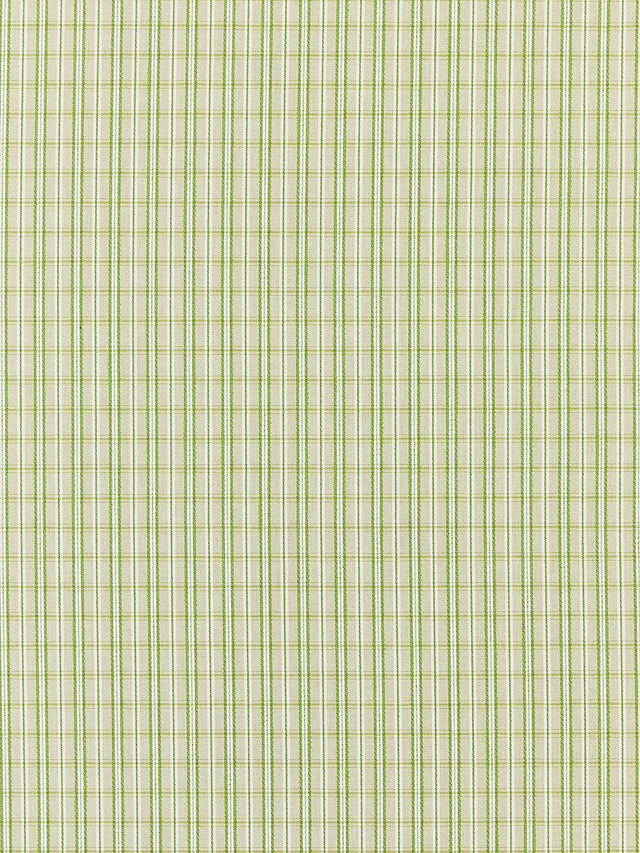 Scalamandre Check Please | Outdoor Fern Fabric
