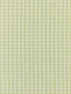 Scalamandre Check Please - Outdoor Fern Fabric