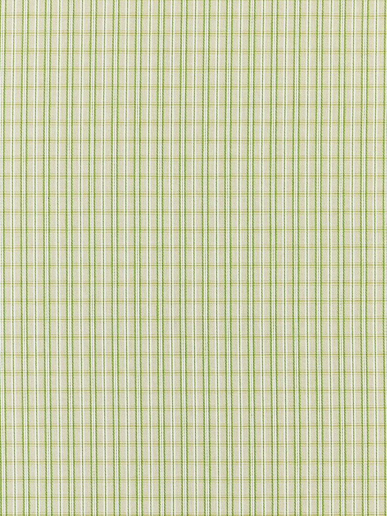 Scalamandre CHECK PLEASE - OUTDOOR FERN Fabric