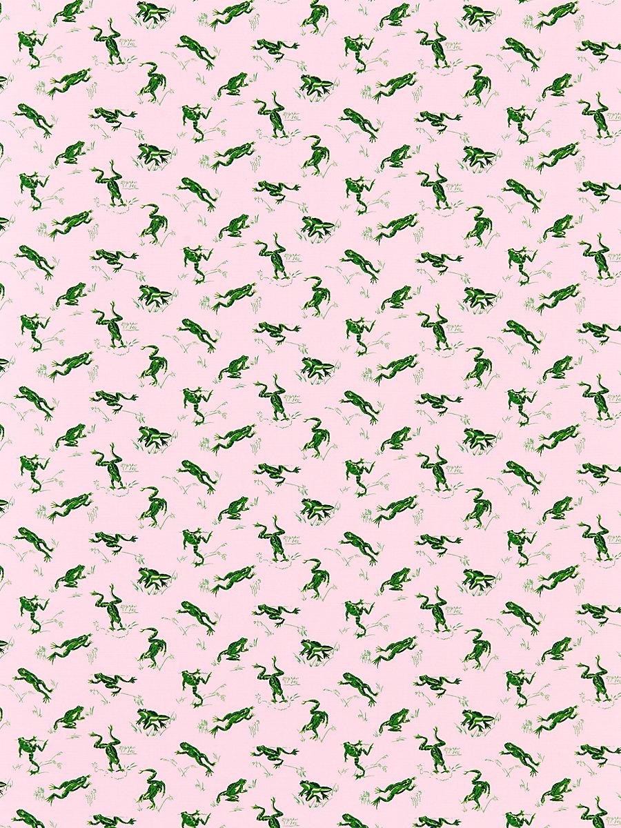 Scalamandre Calabasas County | Outdoor Camelia Fabric