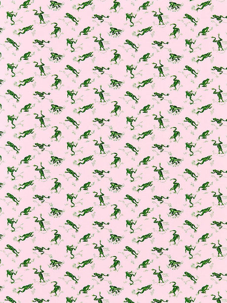 Scalamandre Calabasas County | Outdoor Camelia Fabric