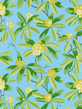 Scalamandre Rhododendron | Outdoor Carolina Fabric