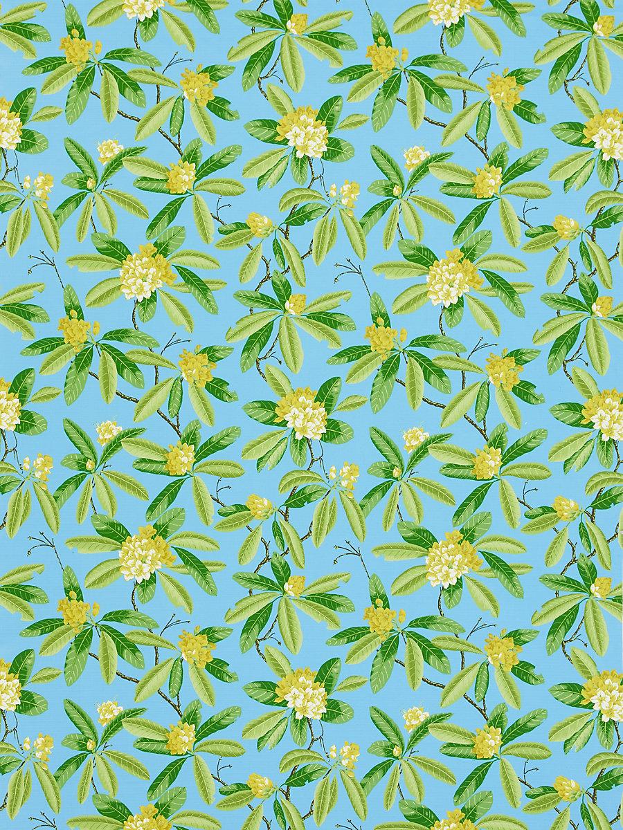 Scalamandre Rhododendron | Outdoor Carolina Fabric