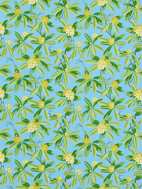Scalamandre Rhododendron | Outdoor Carolina Fabric