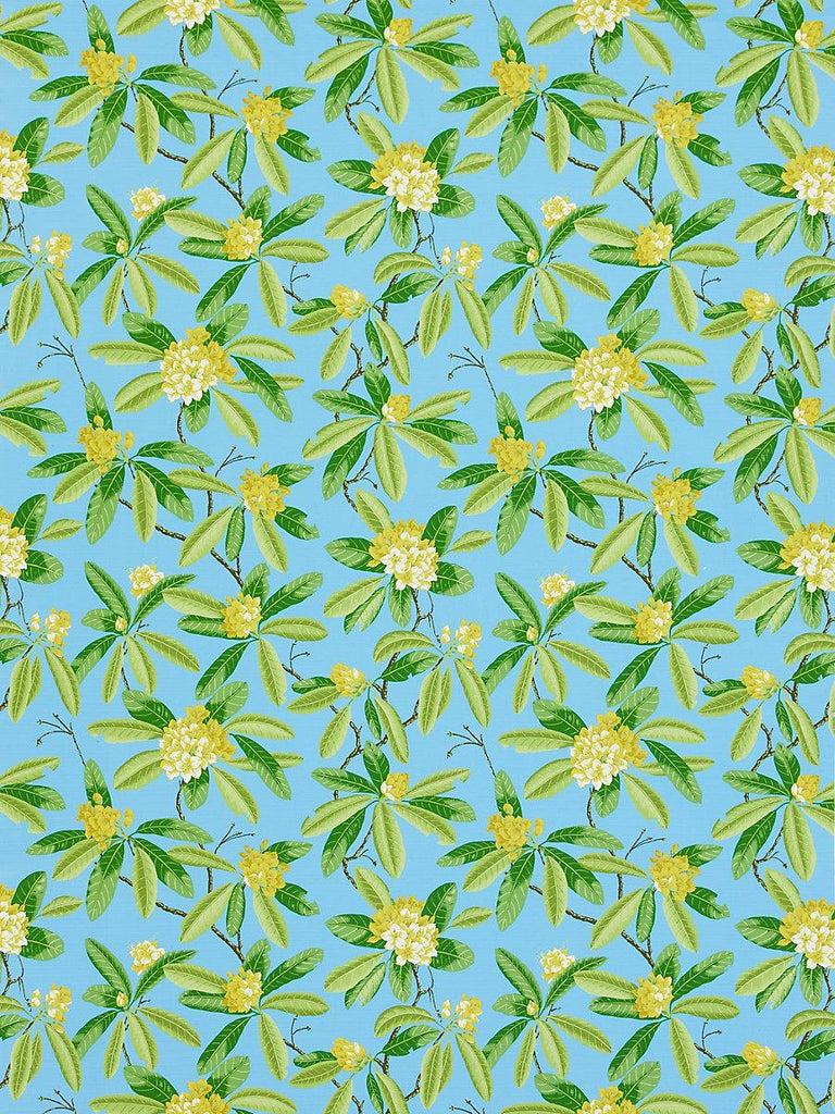Scalamandre Rhododendron - Outdoor Carolina Fabric