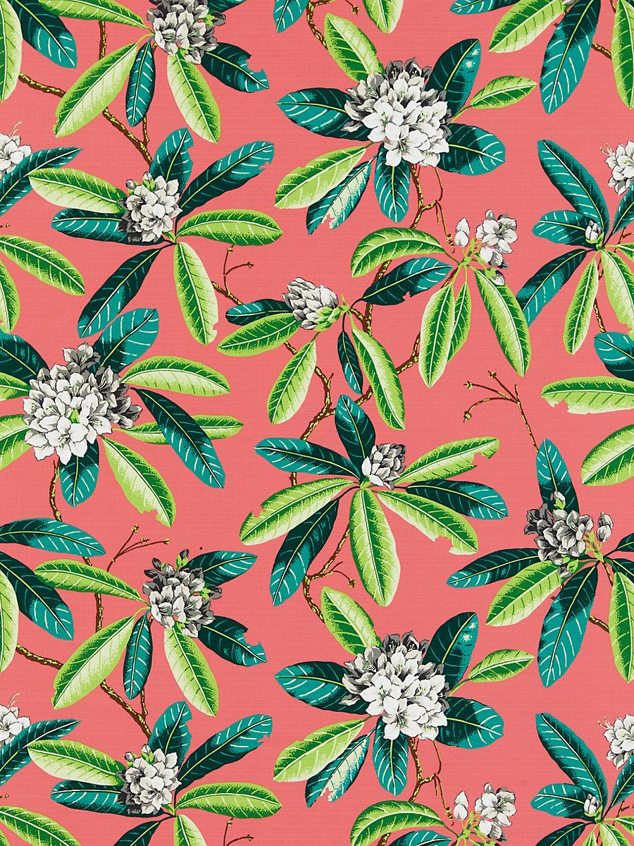 Scalamandre Rhododendron | Outdoor Flamingo Fabric