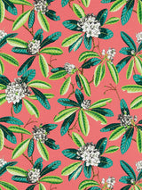 Scalamandre Rhododendron | Outdoor Flamingo Fabric