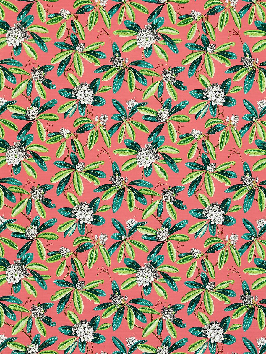 Scalamandre Rhododendron | Outdoor Flamingo Fabric