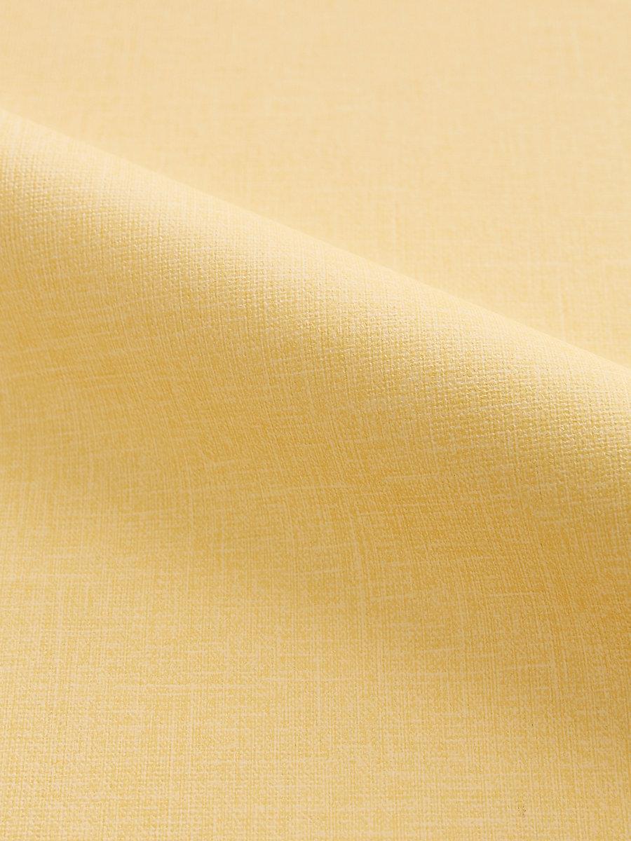 Scalamandre Katharine Butter Fabric