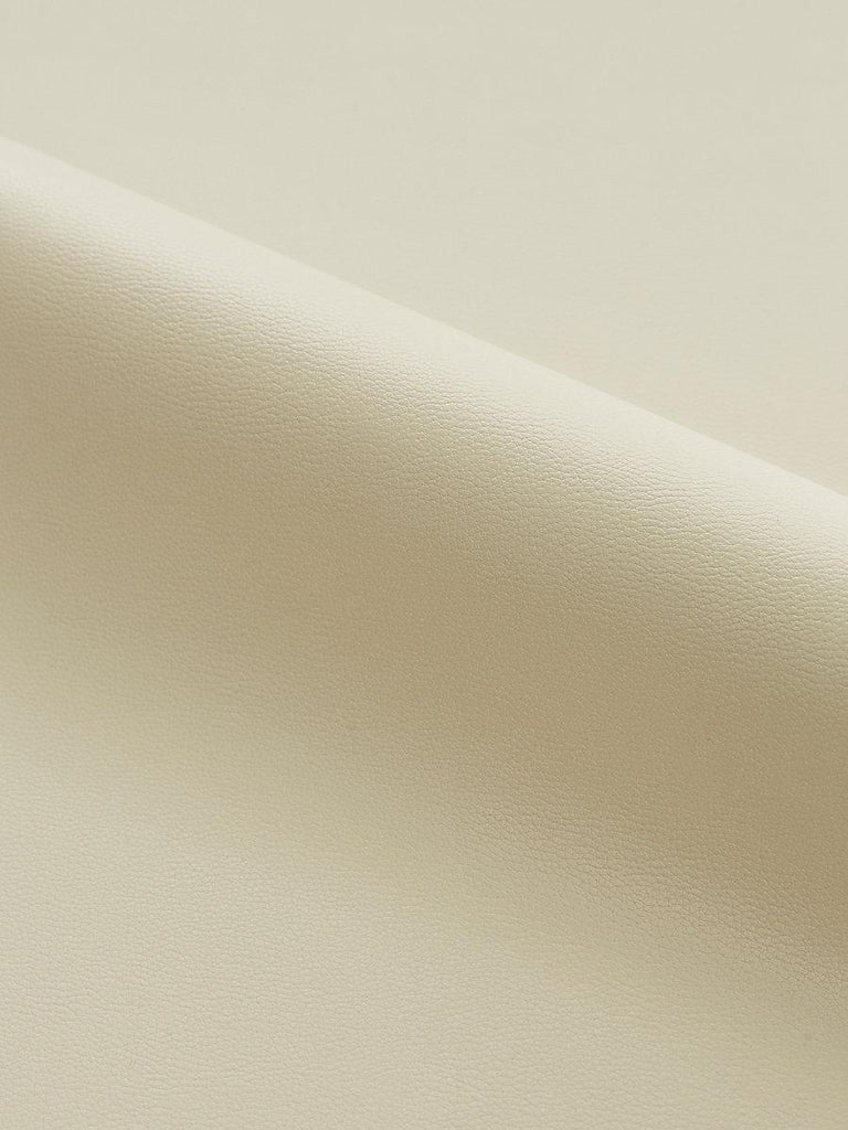Scalamandre Clark - Outdoor Desert Fabric
