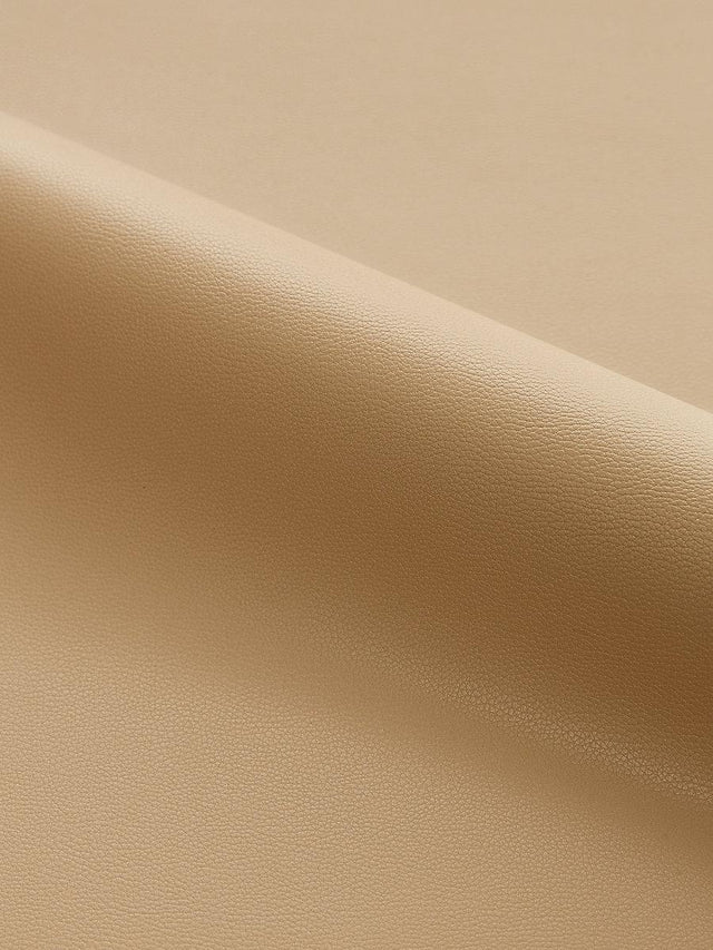 Scalamandre Clark | Outdoor Latte Fabric