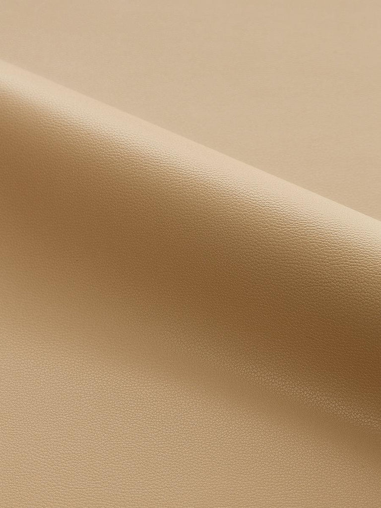 Scalamandre Clark - Outdoor Latte Fabric
