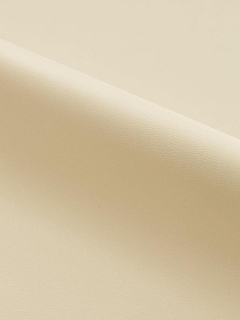 Scalamandre CLARK - OUTDOOR DUNE Fabric