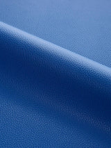 Scalamandre Lucille | Outdoor Blue Fabric