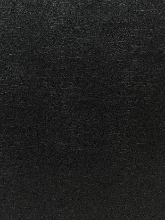 Scalamandre Cary Onyx Fabric