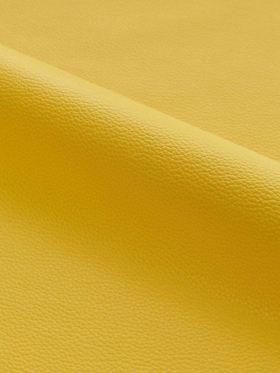 Scalamandre Lucille | Outdoor Goldenrod Fabric