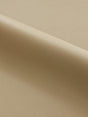 Scalamandre Clark | Outdoor Taupe Fabric