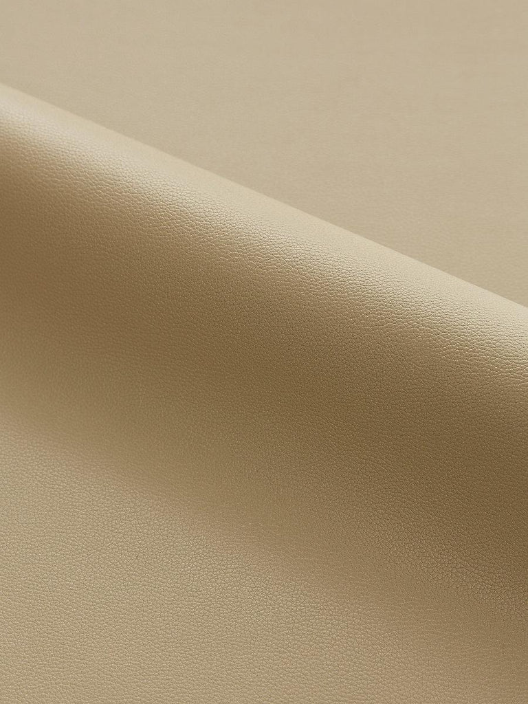 Scalamandre CLARK - OUTDOOR TAUPE Fabric