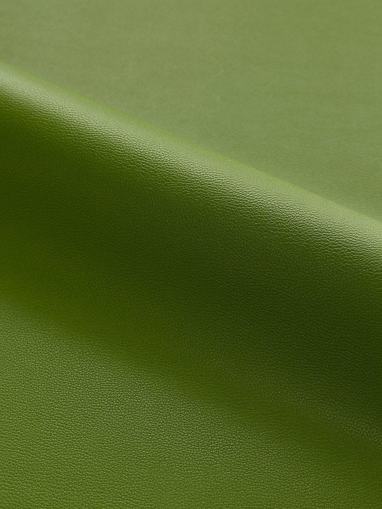 Scalamandre CLARK - OUTDOOR CRICKET Fabric