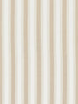 Scalamandre Shirred Stripe Fawn Fabric